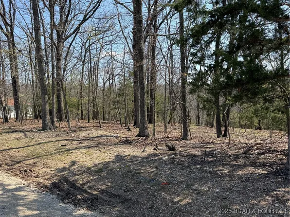 Cornett Branch Rd, Lake Ozark, MO 65049