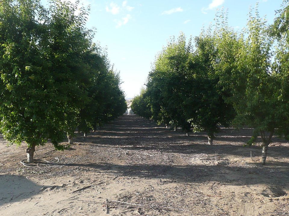 1st image of 33605 Road 220