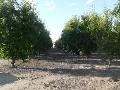 33605 Saint Johns, Woodlake, CA, 93286