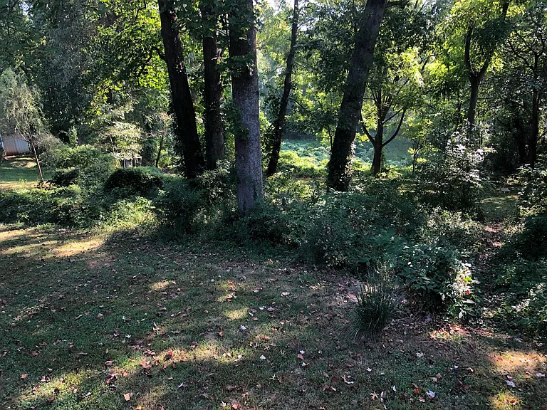 80 Sulphur Springs Rd — Photo 13