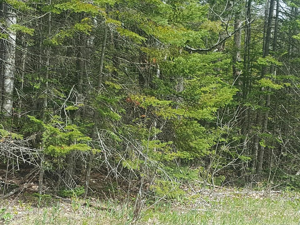 1st image of Ortolan Ln