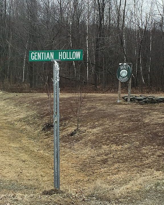 1st image of 0 Gentian Hollow