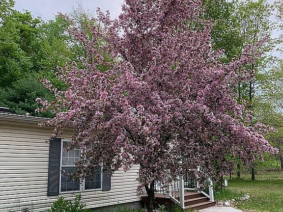 2nd image of 9861 Pine Circle Dr NW