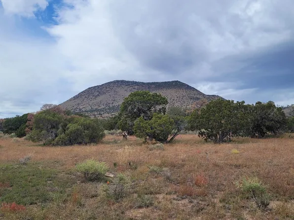 15 Elk Run, Datil, NM 87821