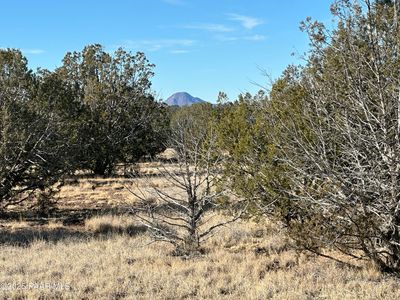 2249 W Cienega Dr, Williams, AZ, 86046