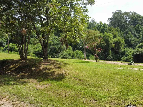 696 Number Two Hill Rd, Nauvoo, AL 35578