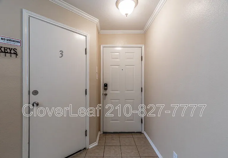 10343 Lion Chase — Photo 5