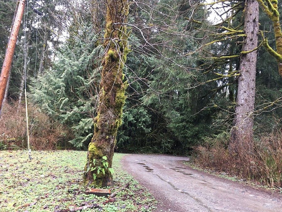 33522 SE 124th St, Issaquah, WA 98027 | Zillow