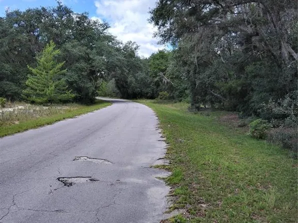0 Fisher Way Run #2, Ocklawaha, FL 32179