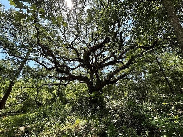 2nd image of 60368 Lake Rd
