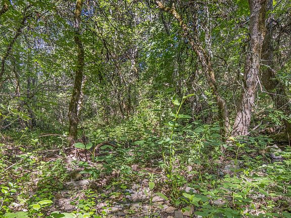 8th image of Cacalaveras County