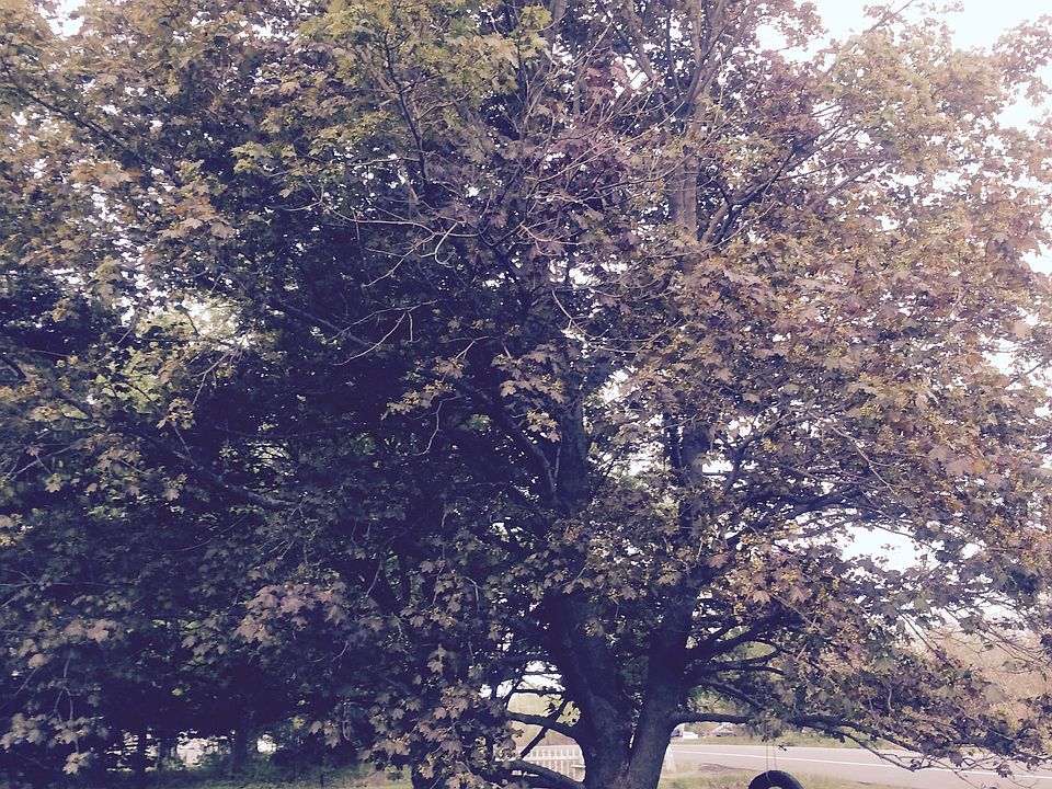 2nd image of 4252 Sweet Rd