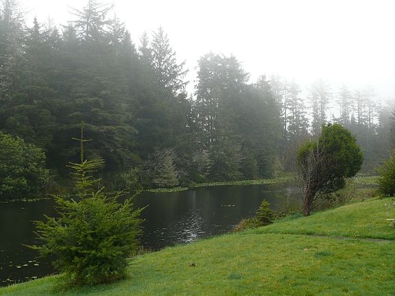 From south lawn over pond
