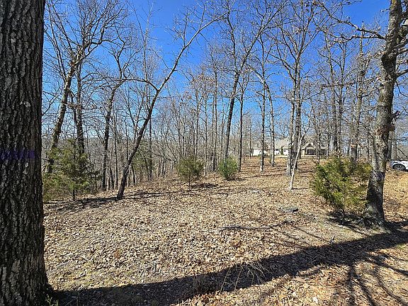 2nd image of 7949 Ozark Ridge Dr