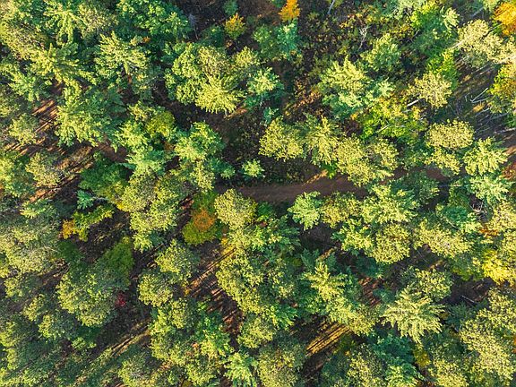 3rd image of LOT 7 Northwestern Dr