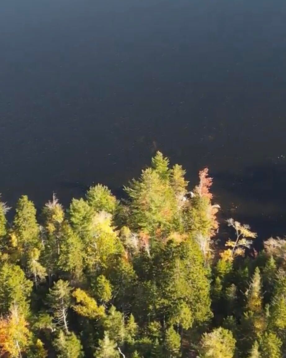 M27LotK Birch Point Road, Meddybemps, ME 04657 Zillow