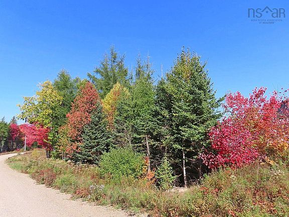 3rd image of W Side Road West Side Country