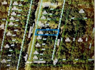 Fig Ave, Webster, FL 33597