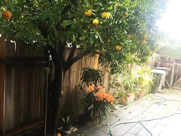 5th image of 1301 San Domar Dr APT A