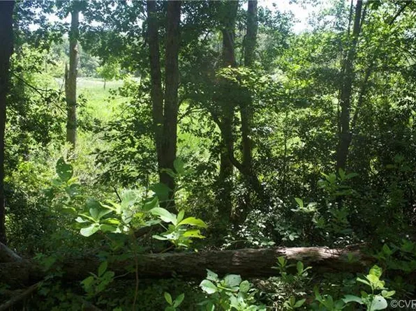 1309 Mount Olive Cohoke Rd, King William, VA 23086