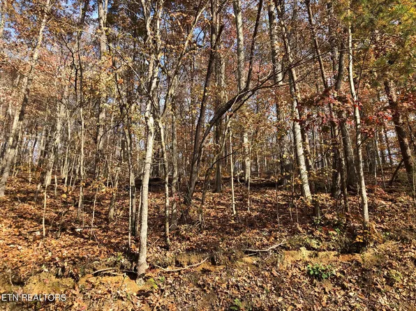 LOT 52 Harbor Ln, La Follette, TN 37766