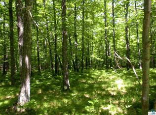 Xxx Hollander Rd, Iron River, WI 54847