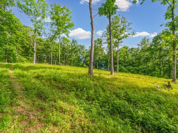 164 Lewis Cir, Dover, TN 37058