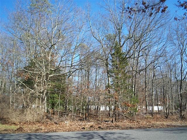 2nd image of 20 Cynwyd Drive