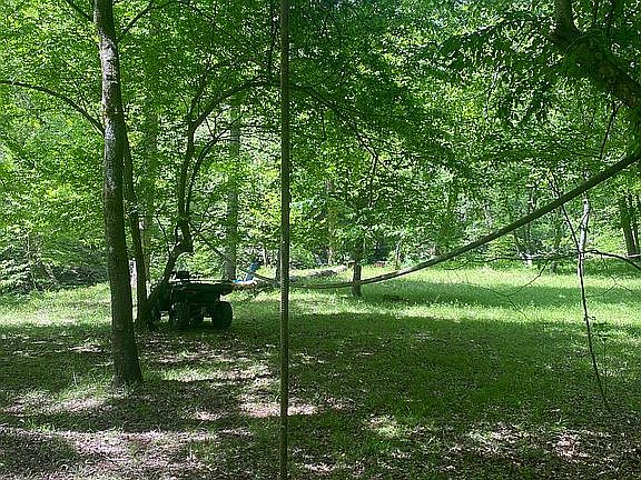 2nd image of 236 Whitewater Run