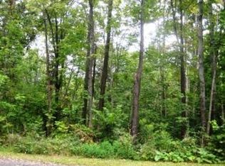 89 Poplar Hill Rd, Binghamton, NY 13901