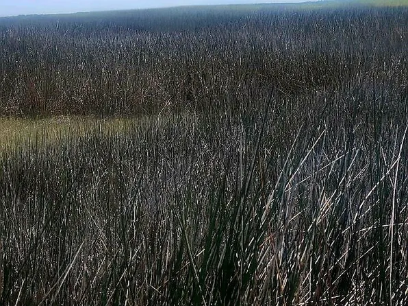 9 Guinea End Ln, Hayes, VA 23072