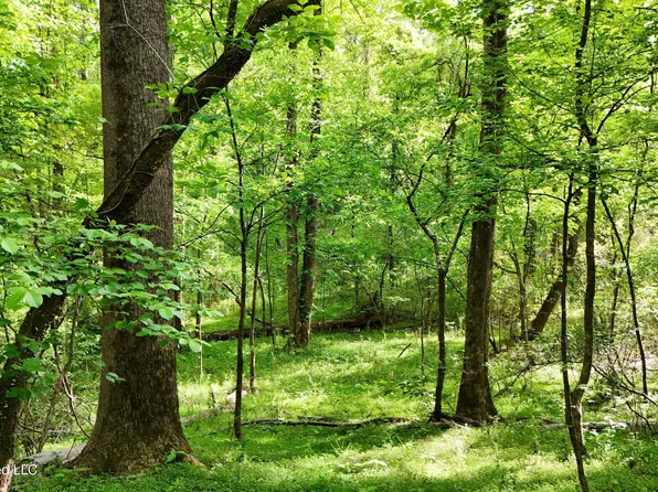 9426 Highway 315, Sardis, MS 38666