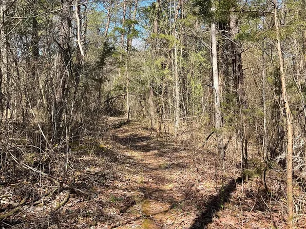 53 Caney Branch Spur, Burnside, KY 42519