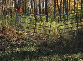 420 Hakes Calhoun Rd, Pitcher, NY 13136