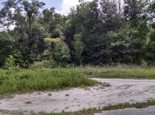 605 W Ohio Ave, Lake Helen, FL 32744