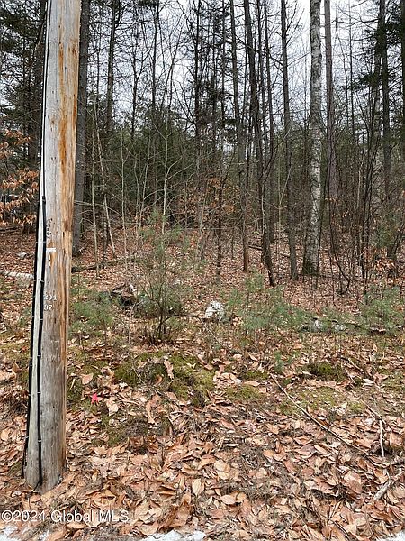 3rd image of L6 Mountain Meadows Road