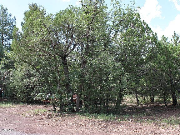 4th image of 2612 Mescalero Dr
