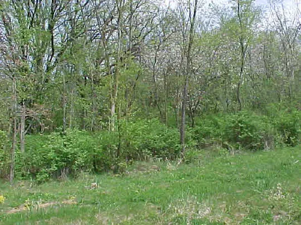 8534 Carberry Ln, Roscoe, IL 61073