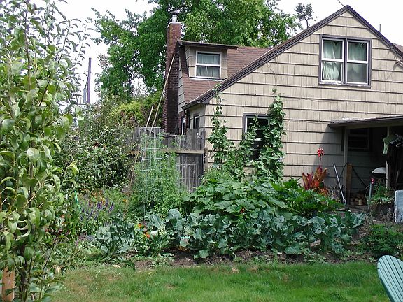 House, from yard