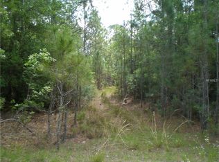 1204 Hidden Palms Dr, Davenport, FL 33897