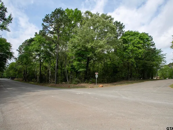 14856 Gold Leaf Ct, Tyler, TX 75707