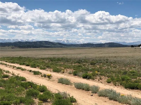 806 Garfield Rd, Hartsel, CO 80449