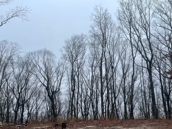 Evening Shade Ln, Graysville, TN 37338