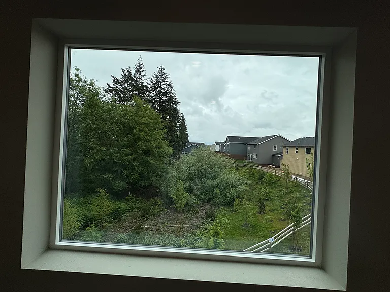 View from the master bathroom overlooking green belt area.