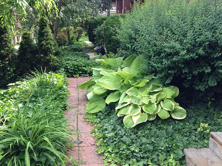 310 Roup Ave #1A — Photo 8