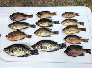 280 Arden Dr, Swainsboro, GA 30401