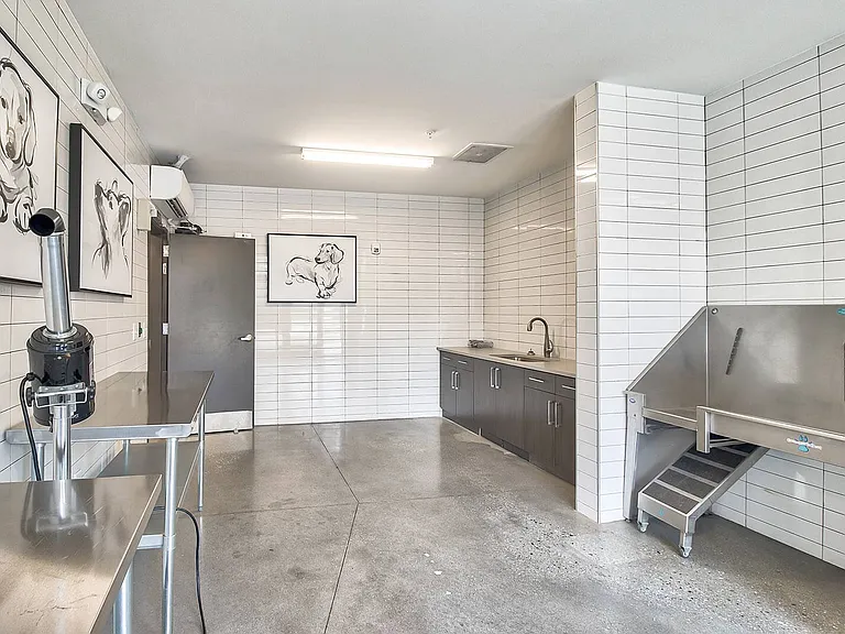 Indoor pet spa with washing and drying stations