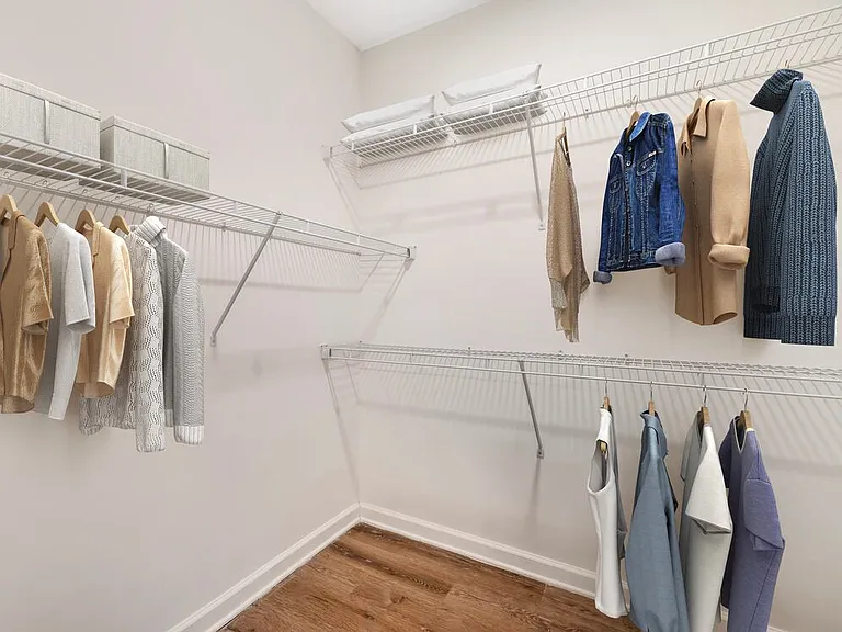 Walk-in closet with hard surface flooring