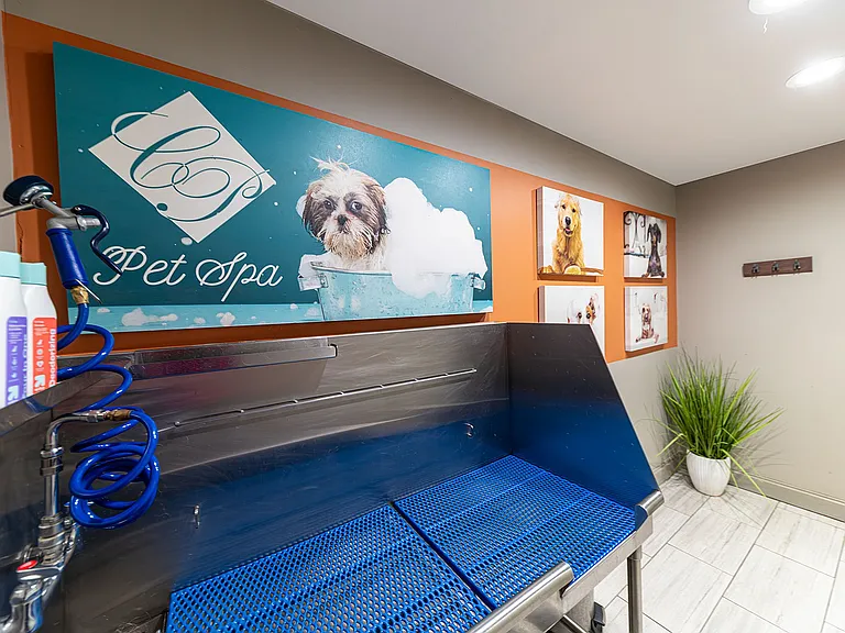 Pamper your pets in this stylish and functional pet spa.
