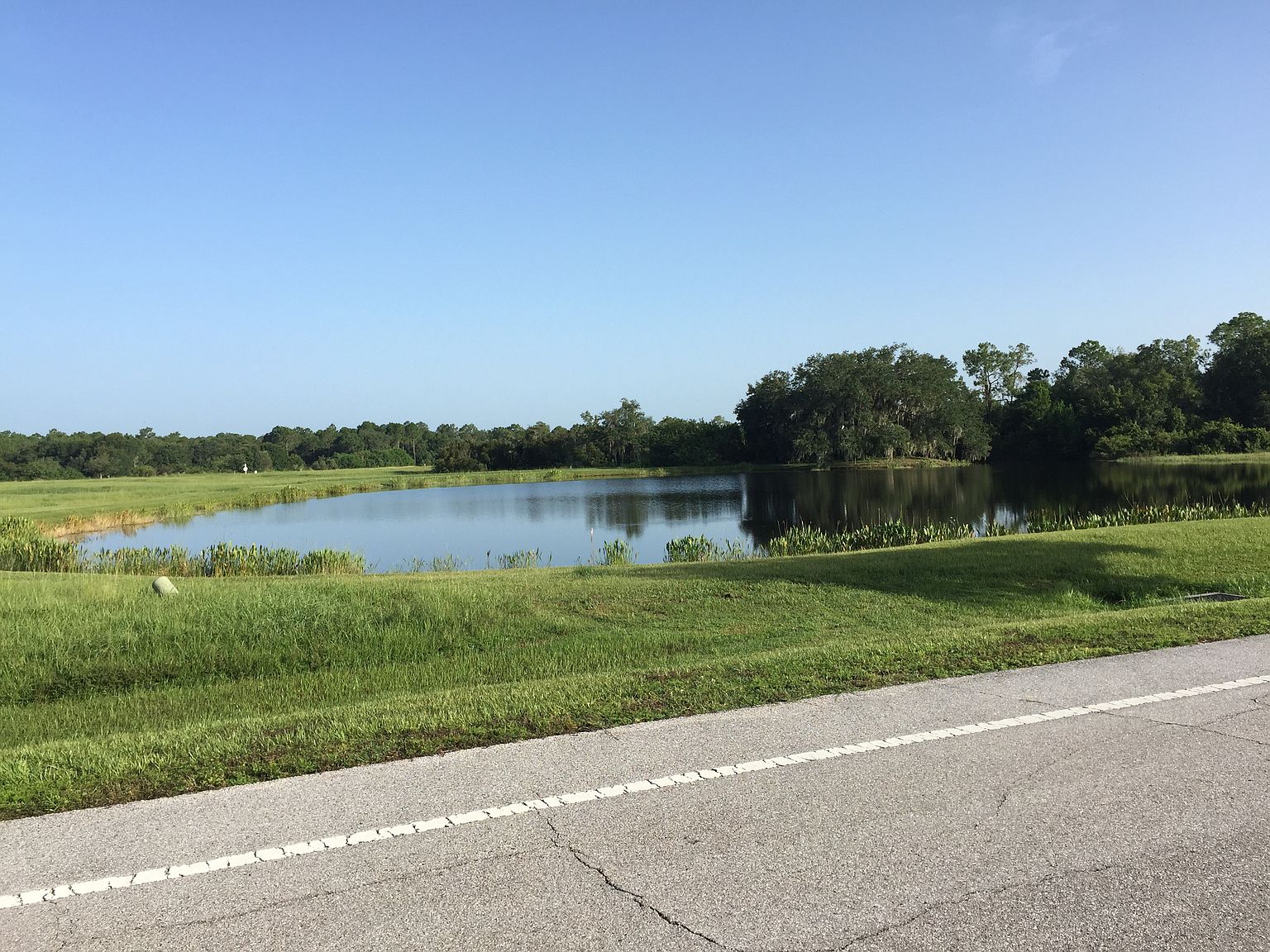 6110 Foxbrook Trl, Parrish, FL 34219 Zillow